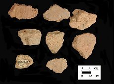 Dames Quarter body sherds from Nassawango, site 18WO23/6K.